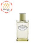 Prada Infusion De Vetiver Perfume For Men\Women - Image 2