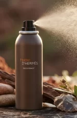 Hermes Tere D Hermes Deo Perfume For Men - Image 3